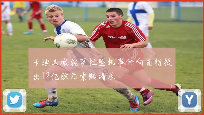 卡迪夫城就萨拉坠机事件向南特提出12亿欧元索赔请求