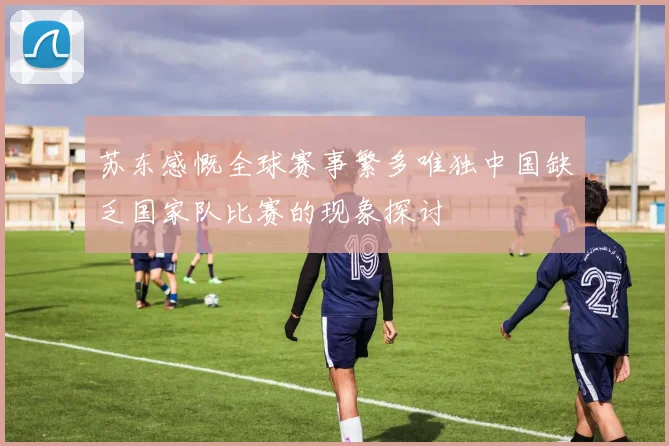 苏东感慨全球赛事繁多唯独中国缺乏国家队比赛的现象探讨