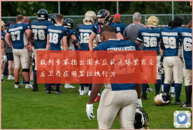 裁判专家指出国米应获点球紫百合后卫存在明显拉拽行为
