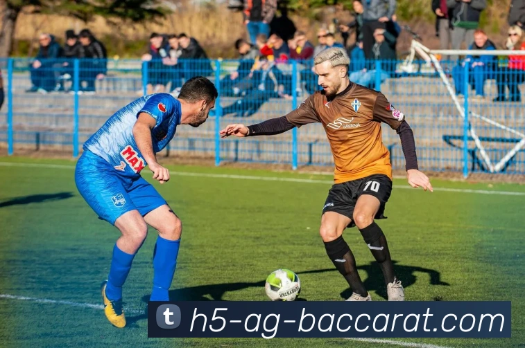 AG百家乐服务体系